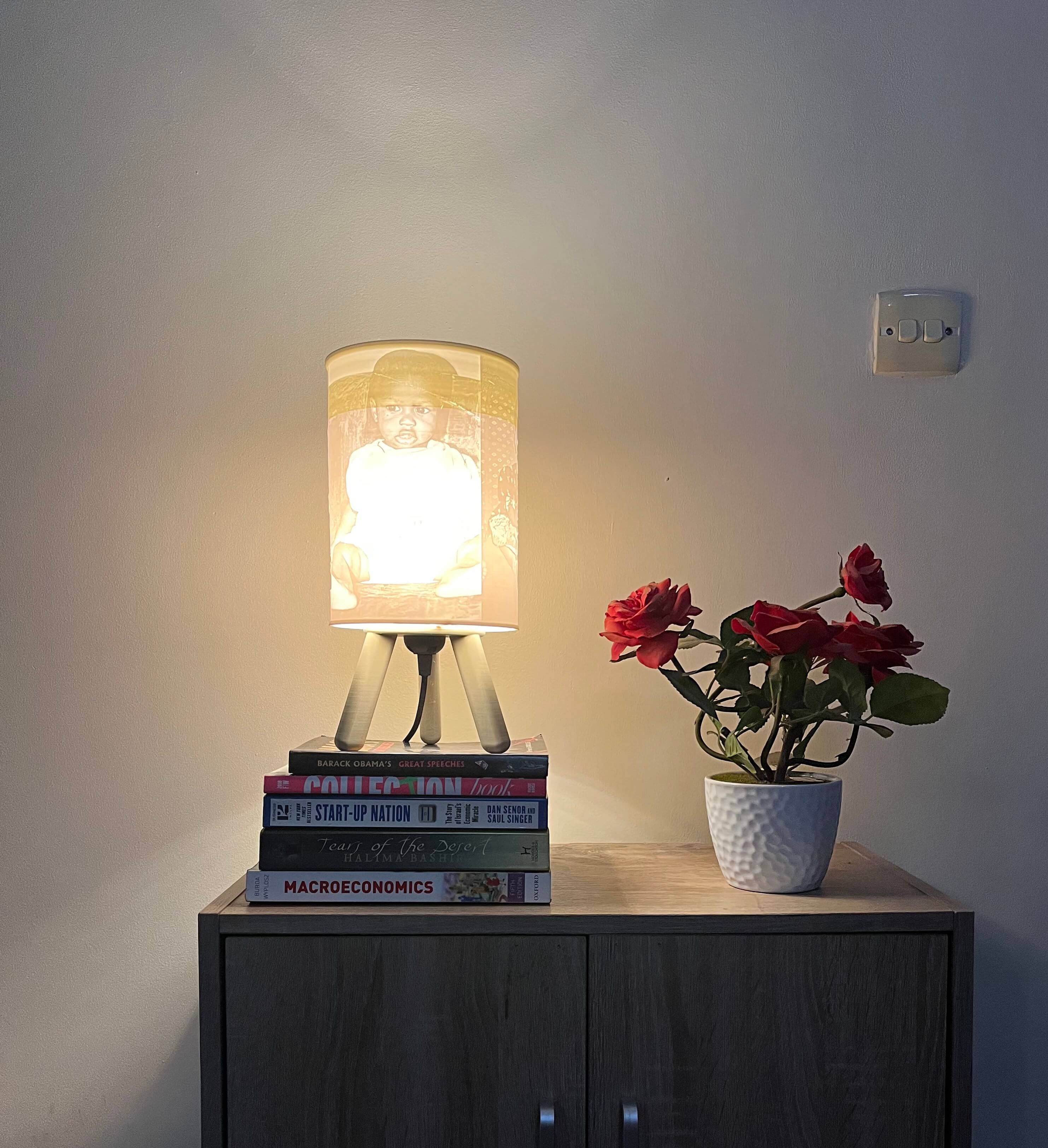 3D Printed Custom Lamp on a console with flower pot and books